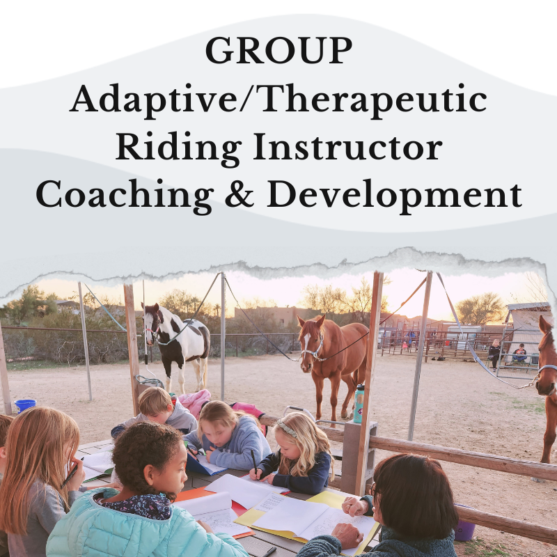 Group Adaptive/Therapeutic Riding Instructor Coaching